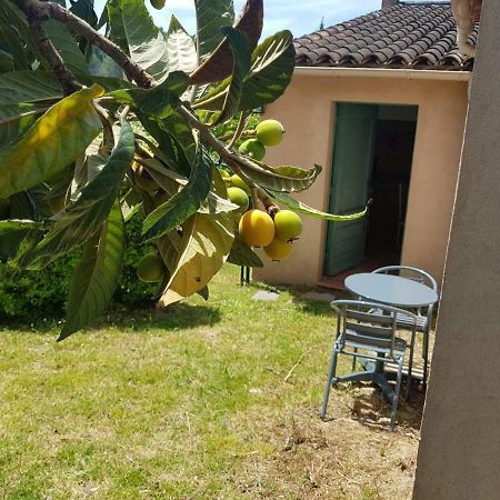 Grand Studio La Roquette-sur-Siagne Εξωτερικό φωτογραφία